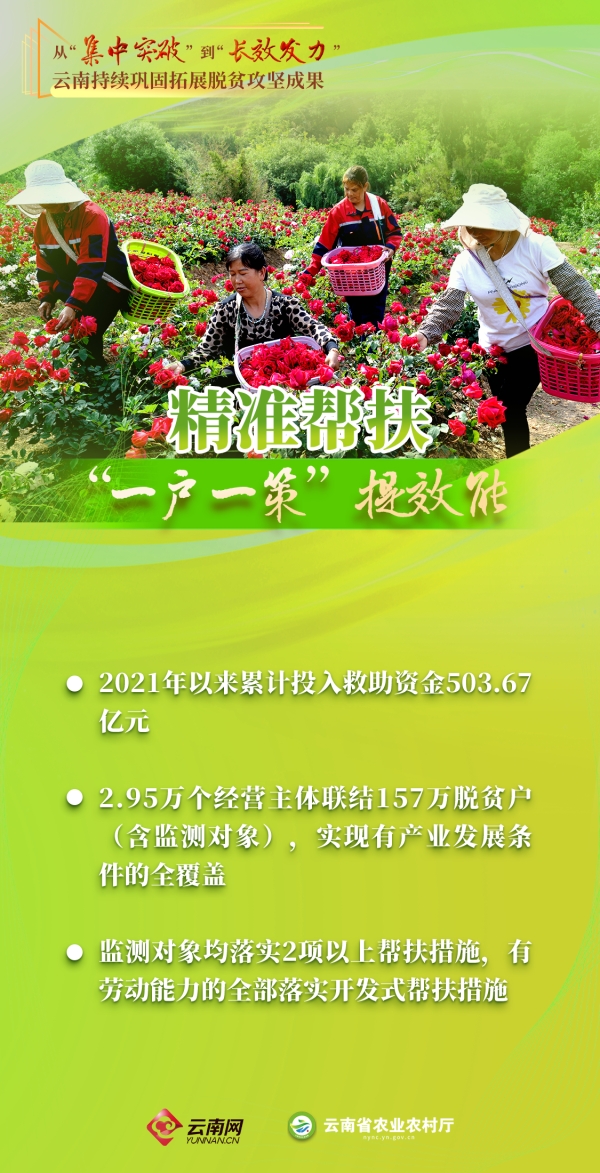 海报丨从“集中突破”到“长效发力” 云南持续巩固拓展脱贫攻坚成果
