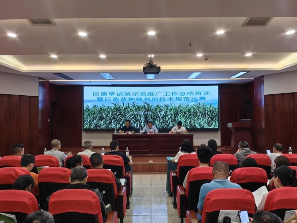 巨菌草试验示范推广工作总结培训暨巨菌草种植利用技术规范比赛在红河州建水县举办 
