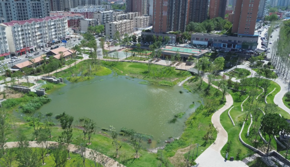 周口：生态绿水惠民生 城市焕新添活力