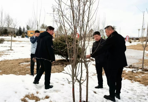 做好技术服务工作 助力创建森林城市 