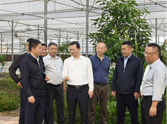 省住建厅厅长周军平带队赴博鳌零碳示范区调研住房城乡建设工作