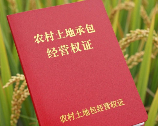 农村土地承包权证这3处错不得，农民兄弟速...