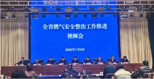 全省燃气安全整治工作推进视频会召开